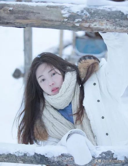 必备的马术知识,马术能不能速成