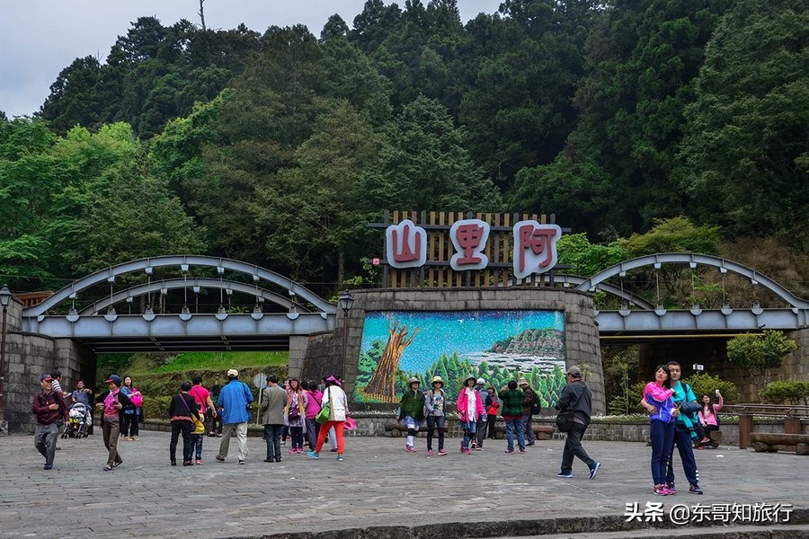 去台湾为什么要走三亚,去台湾看阿里山