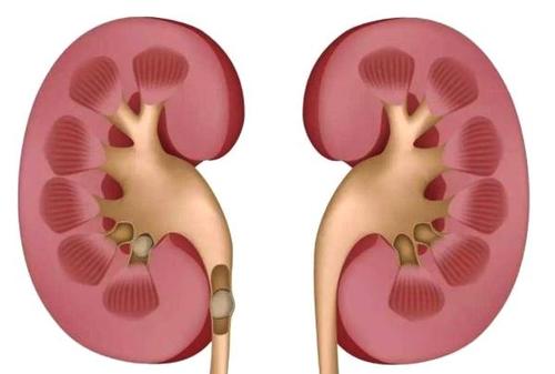 过敏性紫癜用药多久后症状能缓解,儿童过敏性紫癜的症状什么引起的