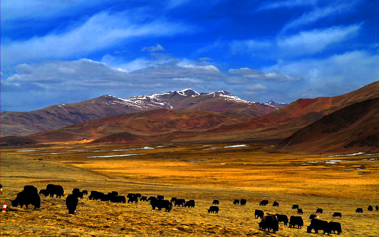 自驾进藏是川藏线好还是滇藏好,7月份进藏走滇藏线还是川藏线好