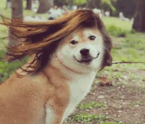 日本防止脱发的方法,日本最新治疗脱发技术