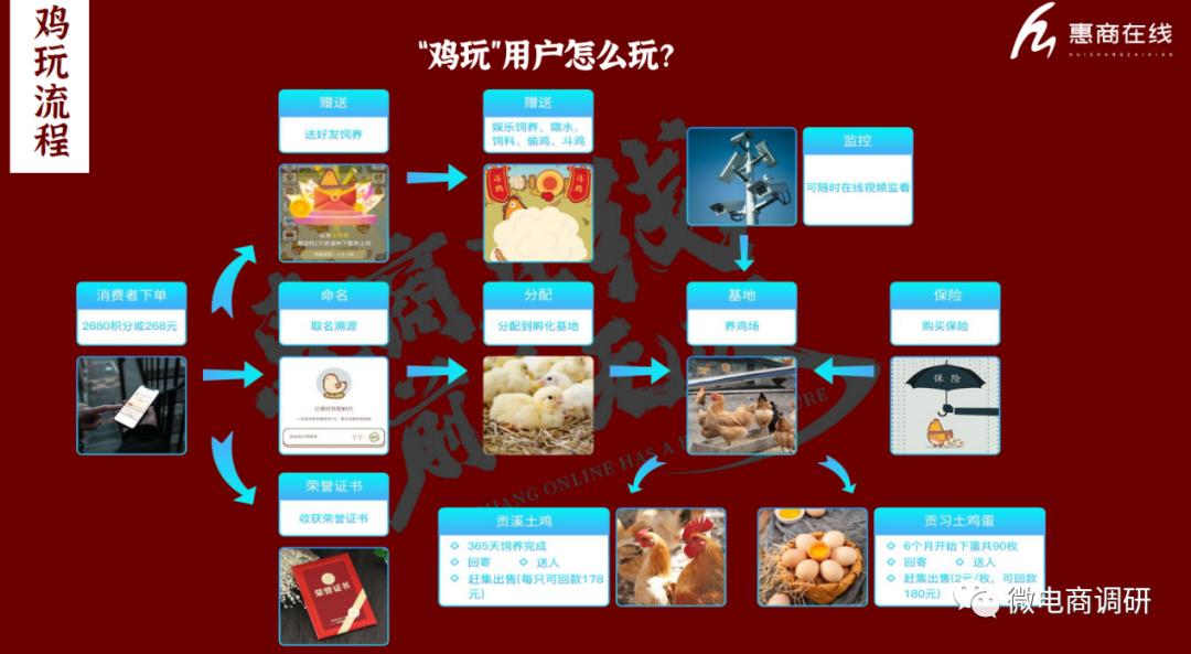 惠商在线养鸡好吗,惠商在线养鸡