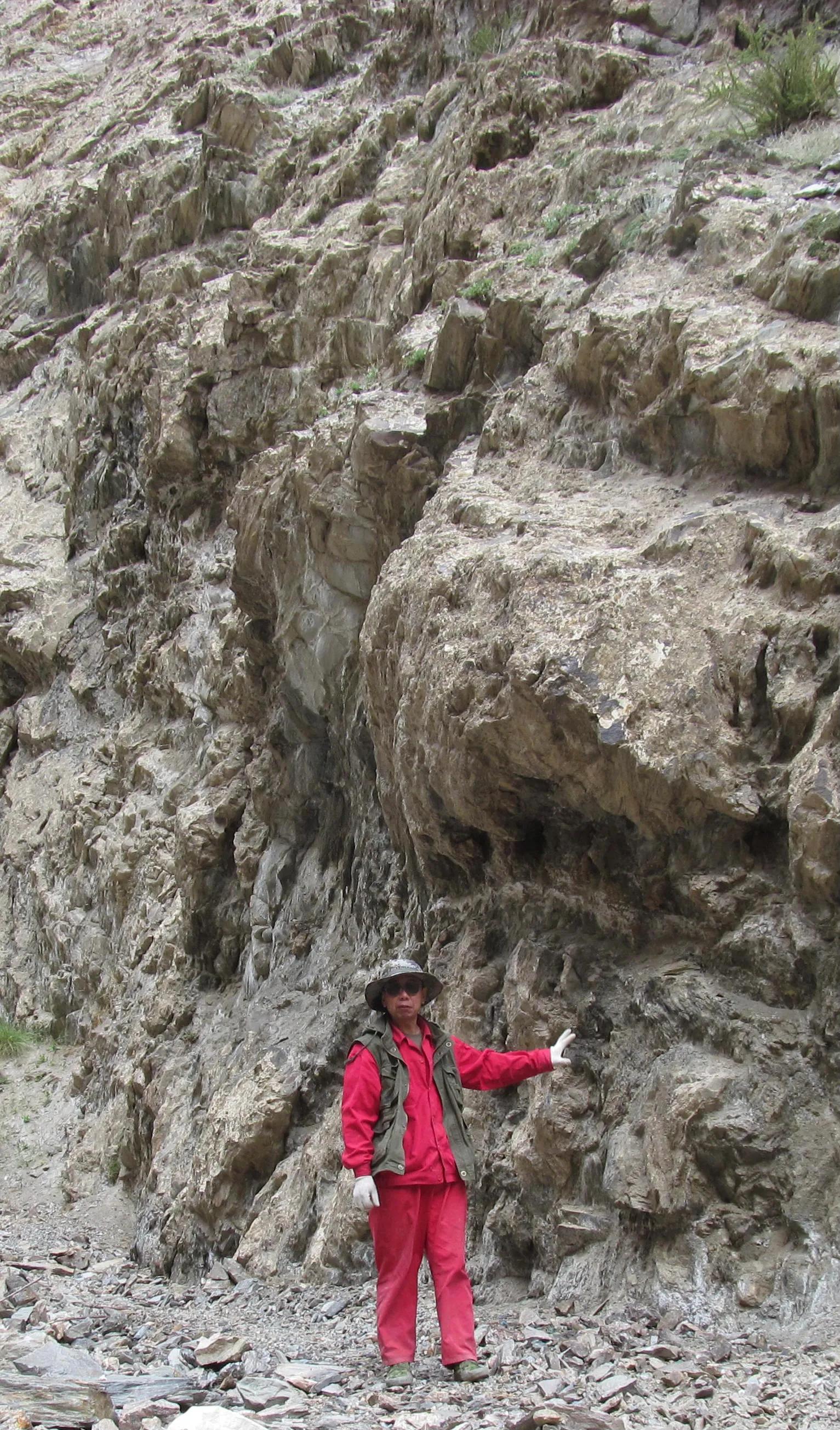 矿山风云评书大全,矿山风云录第一部