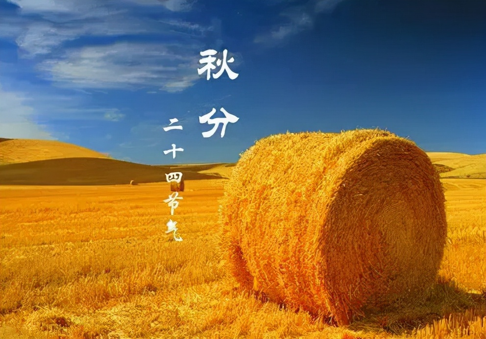 「巴蜀画派·节气」秋分：秋已浓，味更深