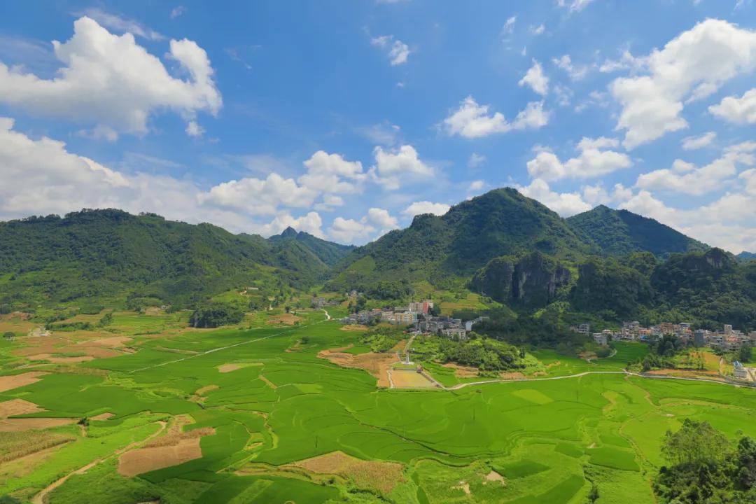 「农民日报推出《特困片区脱贫记》系列报告文学⑨」开在石头上的花