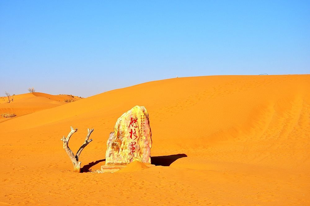 去沙漠探险中暑了怎么办,沙漠求生遇到晕倒的人