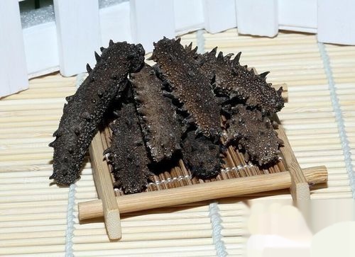 什么样的海参是比较好的海鲜,什么样的海参是好海参