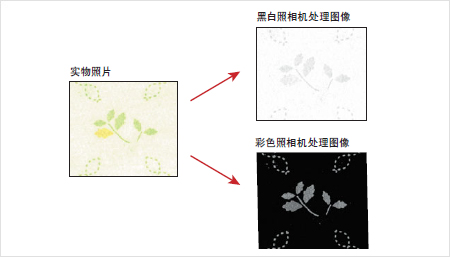 彩色相机机器视觉对比,机器视觉相机的种类