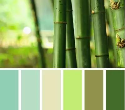 牛油果绿已过时,牛油果绿和浅苔绿