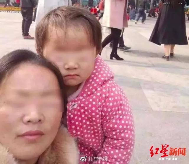 小凤雅家人诉陈岚名誉侵权庭审，陈岚：作为被告，我以此为荣