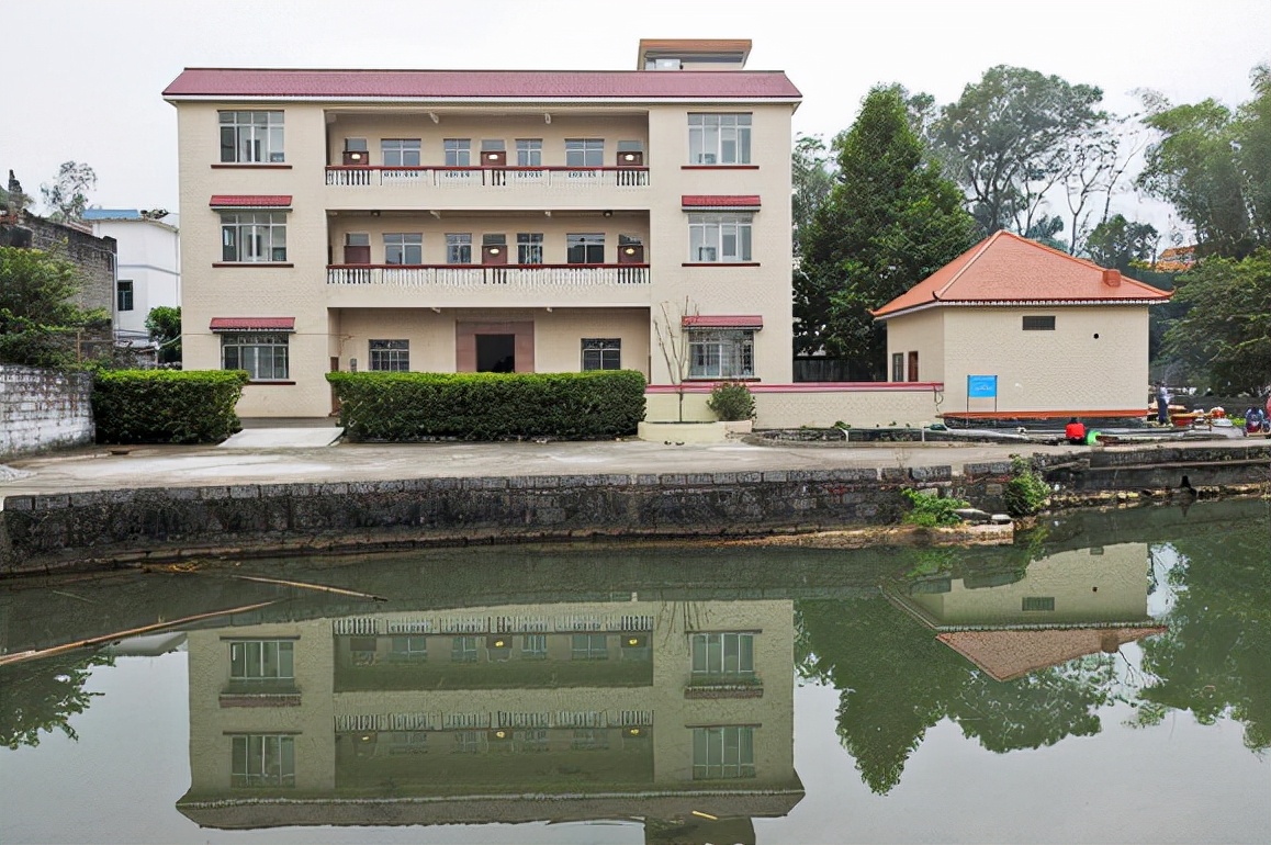 广西低调土豪村，多位“经济能人”返乡发展，引导村民走向富裕