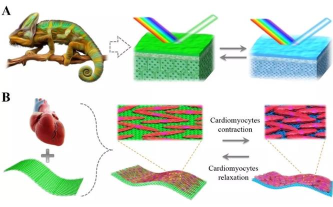 巧克力不只有黑白色,研究员制造微观结构,让巧克力拥有光泽色彩