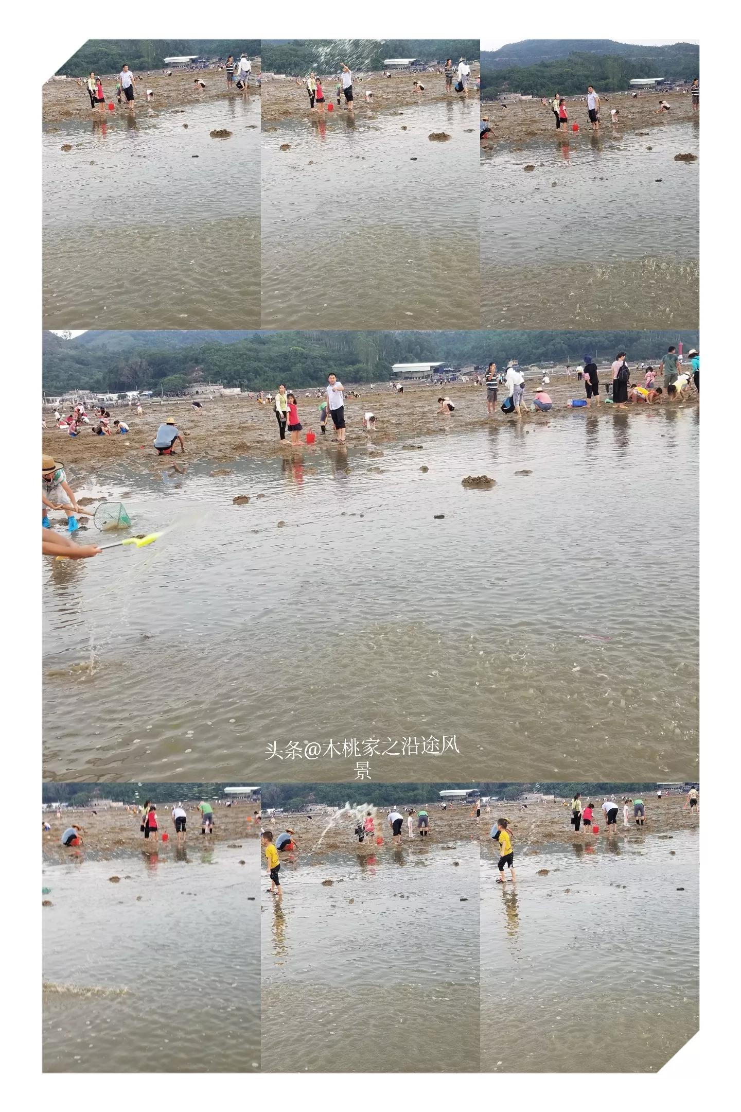 东平赶海沙滩,东平赶海最佳地方