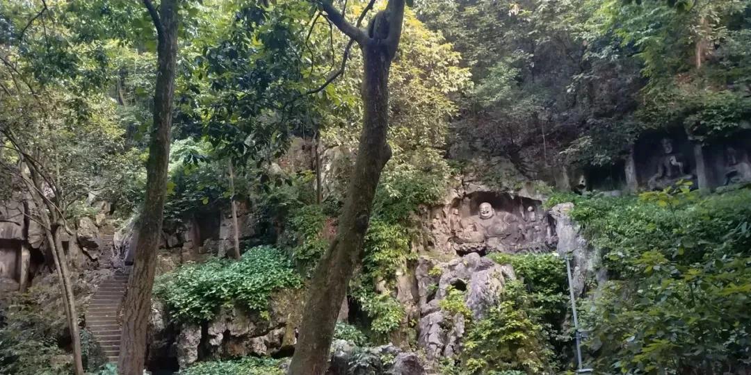 杭州西湖必游景点攻略大全图,杭州西湖新十景游玩顺序攻略