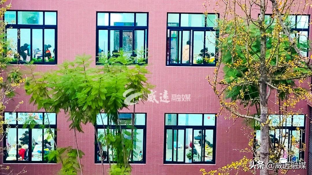 7块钱上8门课！各位家长，这个“便宜”占不占？