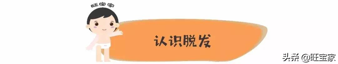 生娃是罐秃顶剂,从此我变成了裘千尺