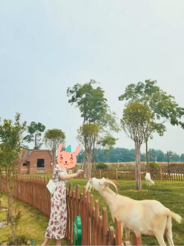 五一小众宝藏旅行地成都周边,成都旅行打卡地