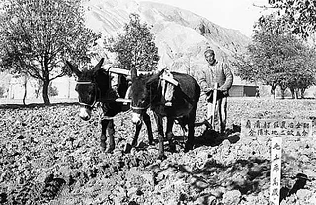 钟期光阔别30年回乡：磕头3次跪谢干父母救命之恩，奉上人参