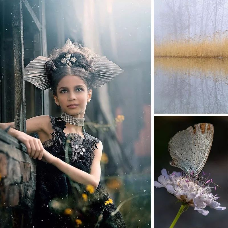 实用主义下的儿童房，童心与自然的交汇