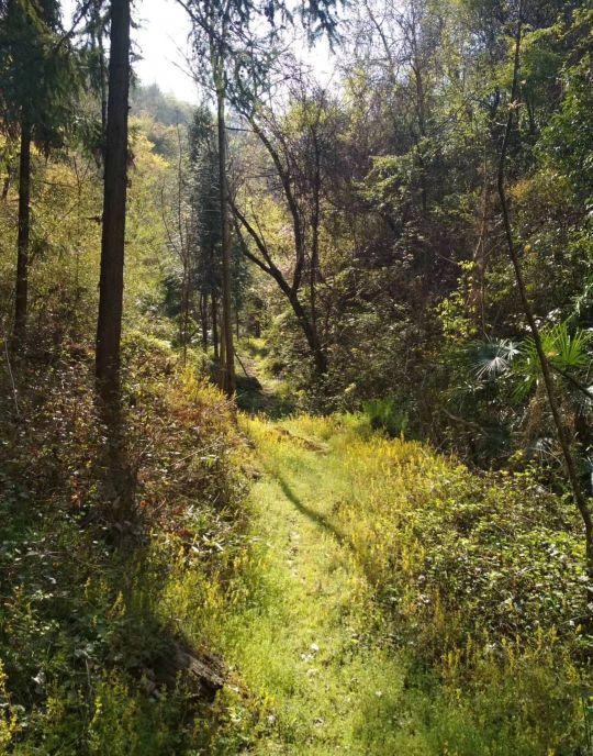 抢红包赚了很多钱,抢红包赚金币