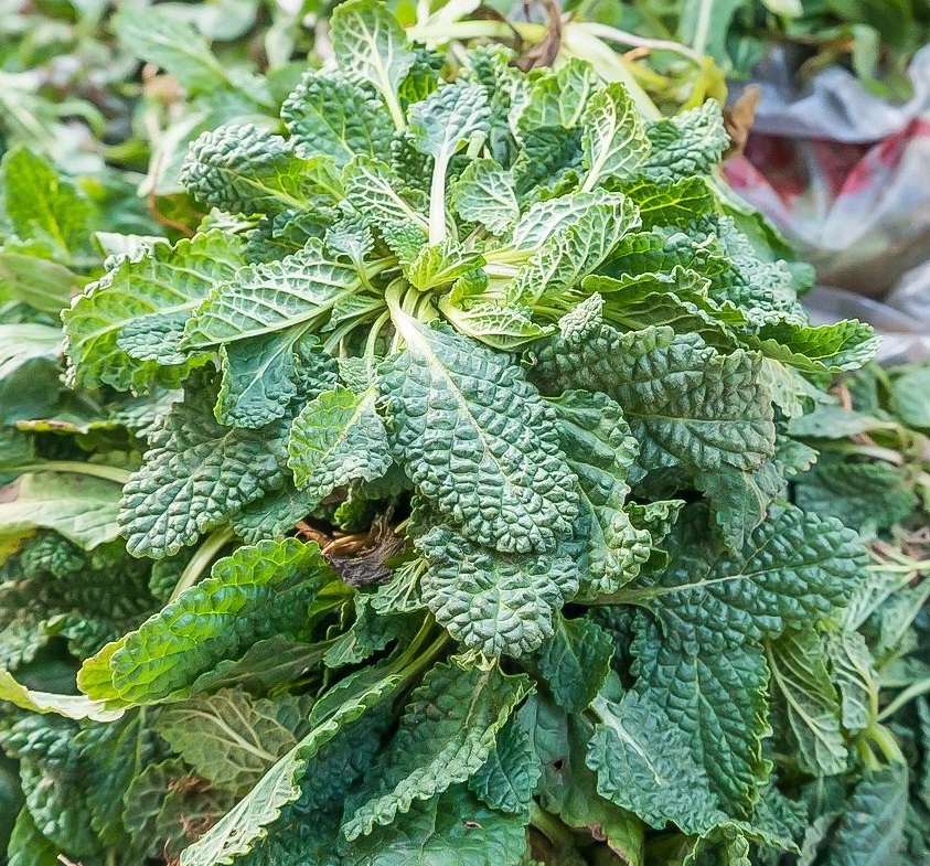 命运的打击,故事命运的挣扎