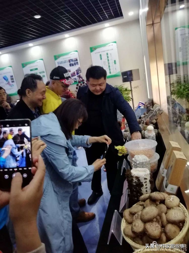 赴一场槐花的邀约——宝鸡作家赴扶风野河山采风