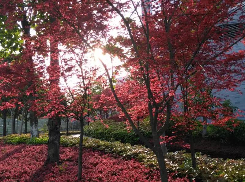 铁路高中选择学生标准,选铁路要选对学校