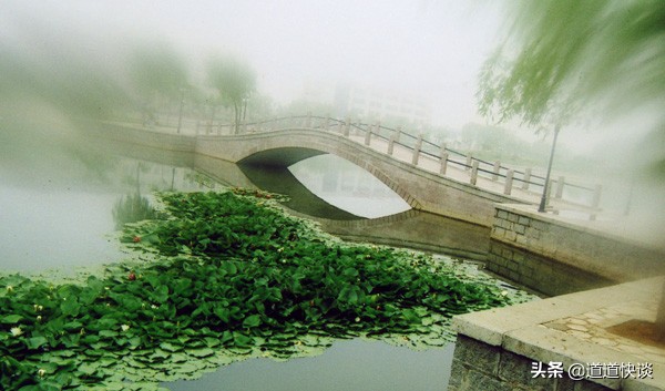 可以看海的烟台大学，校园风景真美