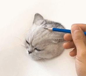 美术生！你们画画就好好画，干嘛还骗人！