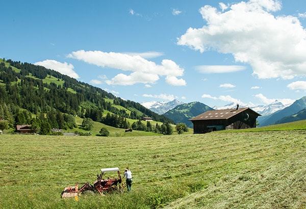 2021年qs世界大学排名500强全名单,最新瑞士世界排名100的大学