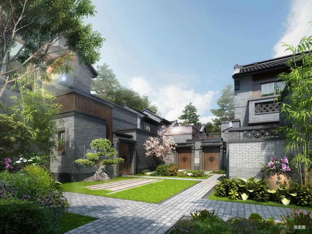 城市观察合肥,城市观察城市生活