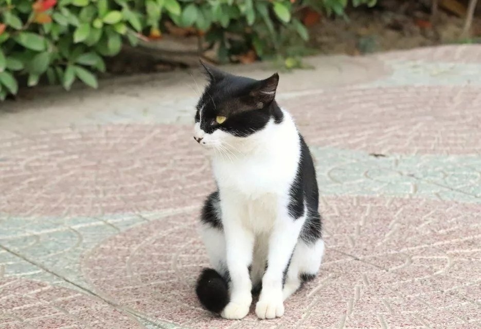 关于宿院的寒假动词