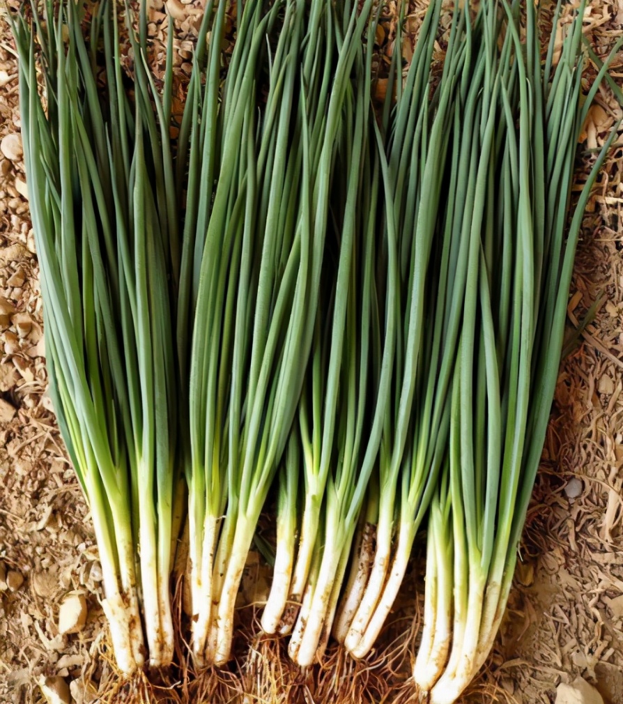 买猪肉时懂行的人专挑这5个部位,买大葱的技巧和方法