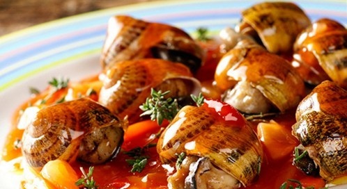 蜗牛遇到盐就会变成一滩水的视频,为什么蜗牛遇到盐就会化成一滩水