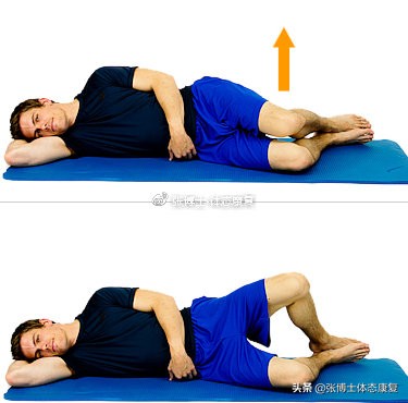 功能训练臀多久练一次,功能训练臀腿