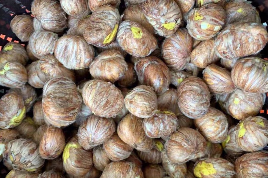 秋天碰到此果别手软,秋天遇到这几种水果千万别手软