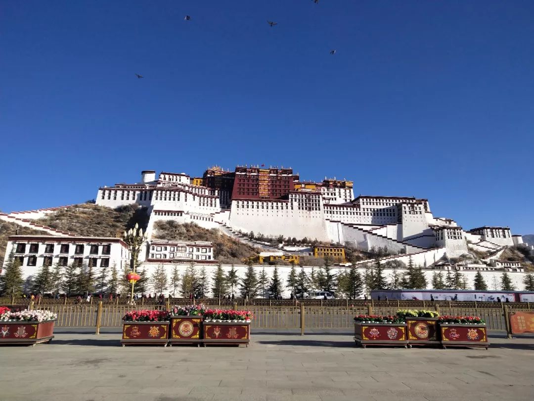 广州治愈心情的地方,可以治愈心情的城市