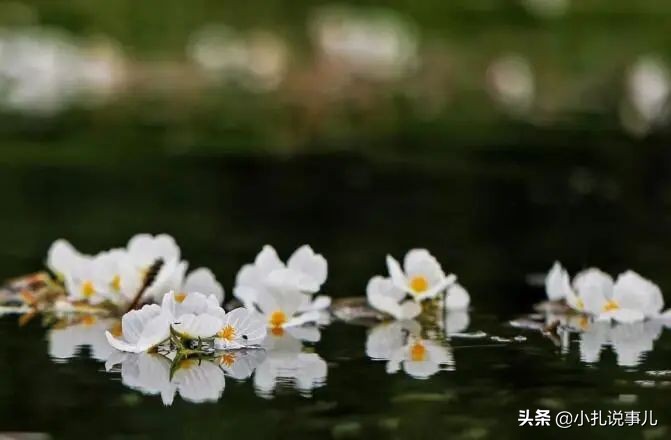 泸沽湖清凉避暑4日游,冬天泸沽湖体验天空之镜