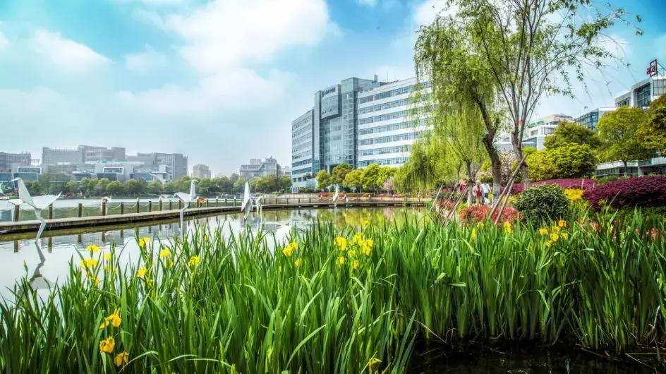 360办公环境,生态花园式办公园区