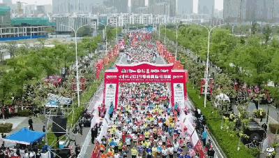 喜报！2019亳马被授予金牌赛事称号