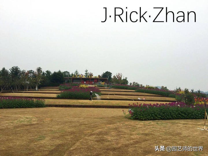 怎样种植草坪技术,果岭草坪的种植养护方法及技巧