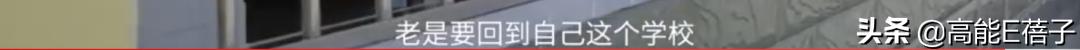 女子高中校长张桂梅感动中国,评价女子学校校长张桂梅事迹