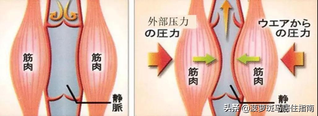 吴宣仪的腿为什么那么直那么细,吴宣仪这腿是练出来的吗
