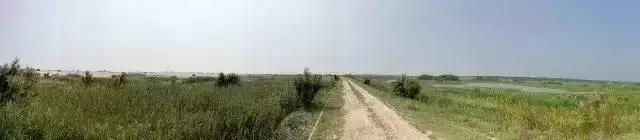 河北值得去的海岛旅游,周末驾到2013