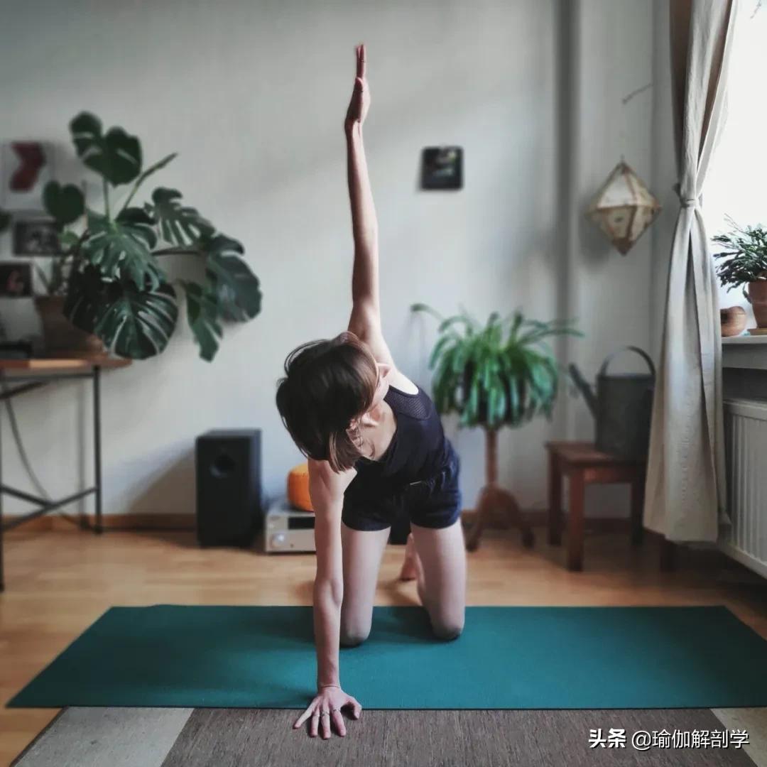 最简单的瑜伽动作初学者,最简单的瑜伽动作刚入门