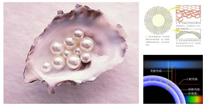 戴上珍珠发夹就是小仙女,当女人戴上眼镜