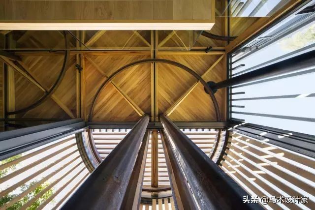 森迪部落树屋酒店,浙江树屋酒店