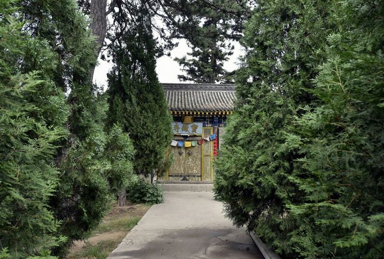 乡村古寺庙,五一家乡山顶寺庙一游