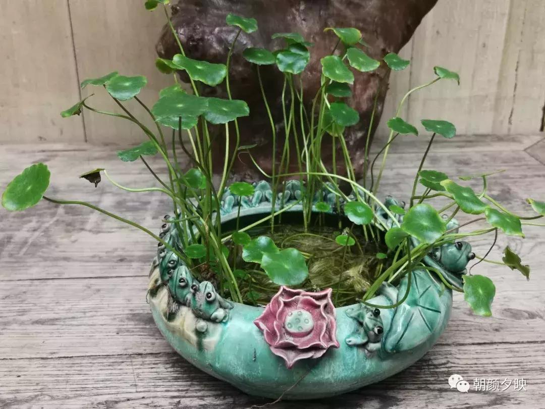 老屋焕新,老屋翻新中式