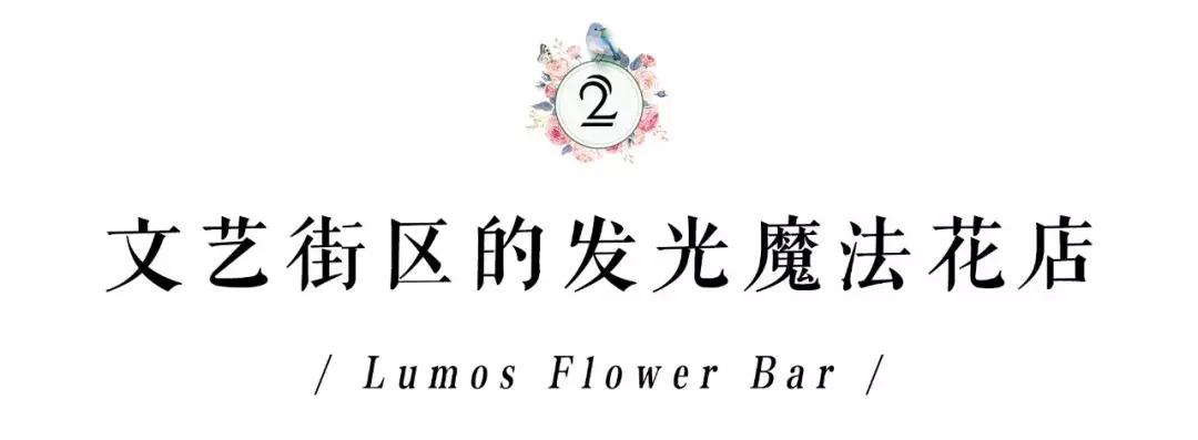 在花园里和鲜花为伴,在花店与鲜花为伴